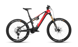 Bild R.X750 Pro -- Arlberg.bike